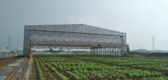 3.12植樹節(jié)，人人參與—靖起起重機生產(chǎn)廠家